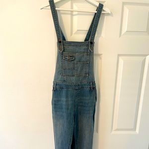 Free People Denim Overalls in Milo Wash